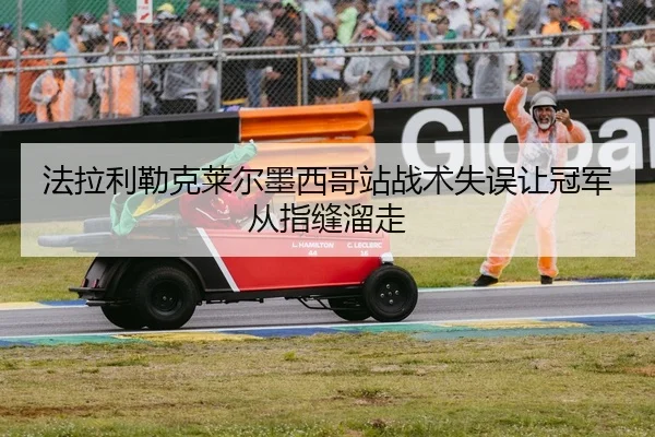 fa-la-li-lei-ke-lai-er-mo-xi-ge-zhan-zhan-shu-shi-wu-rang-guan-jun-cong-zhi-feng-liu-zou-2-249.jpg