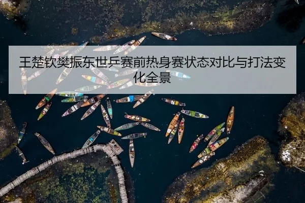 王楚钦樊振东世乒赛前热身赛状态对比与打法变化全景